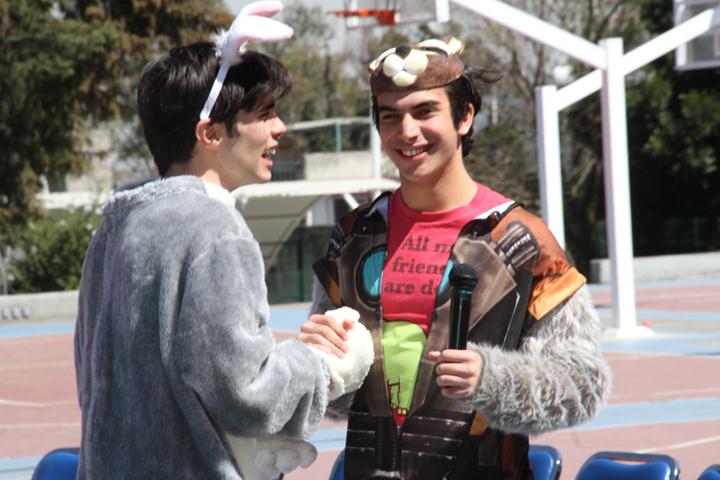 Ir a la Siguiente Foto