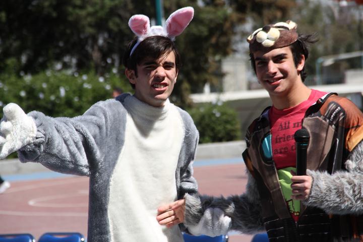 Ir a la Siguiente Foto