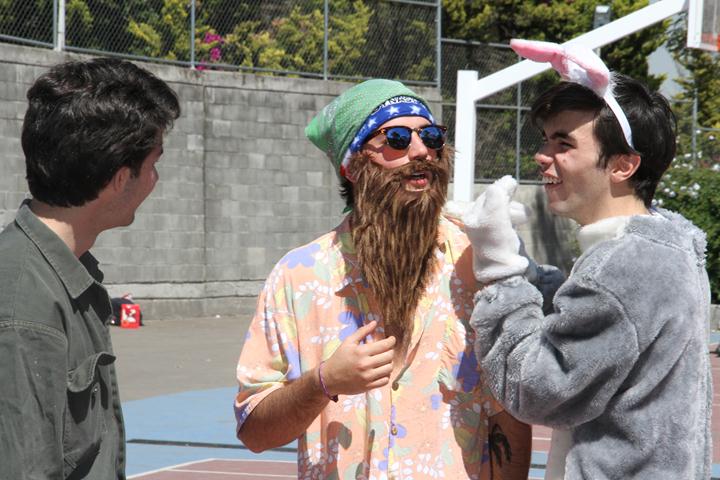 Ir a la Siguiente Foto