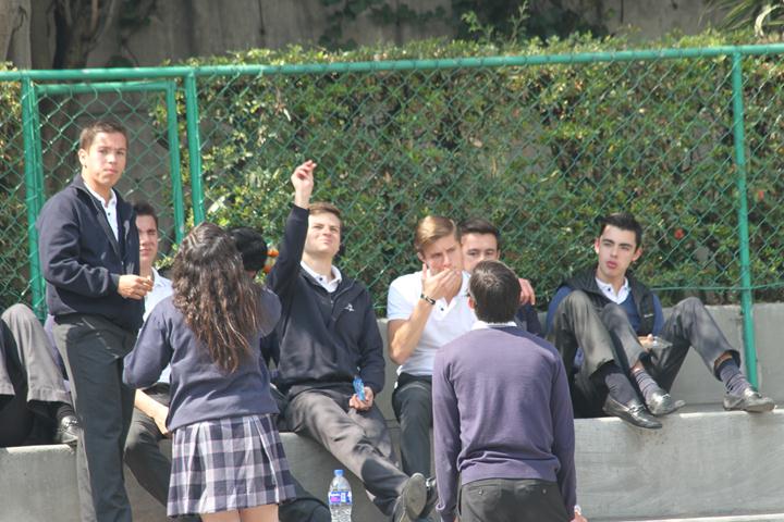 Ir a la Siguiente Foto