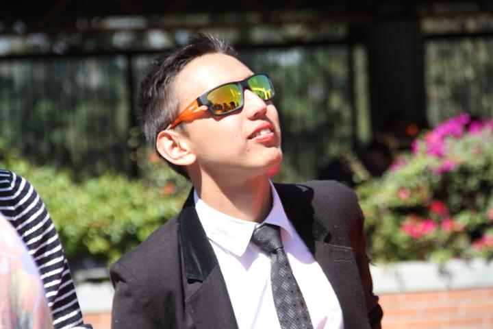 Ir a la Siguiente Foto