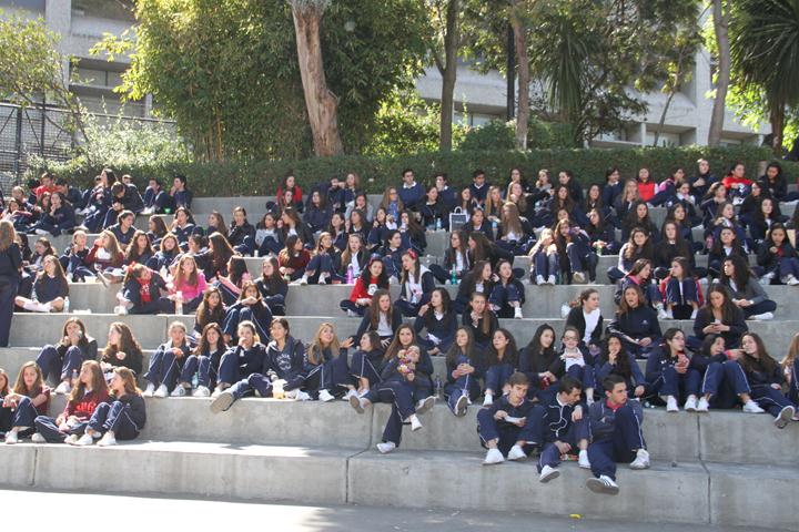 Ir a la Siguiente Foto