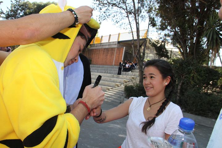 Ir a la Siguiente Foto