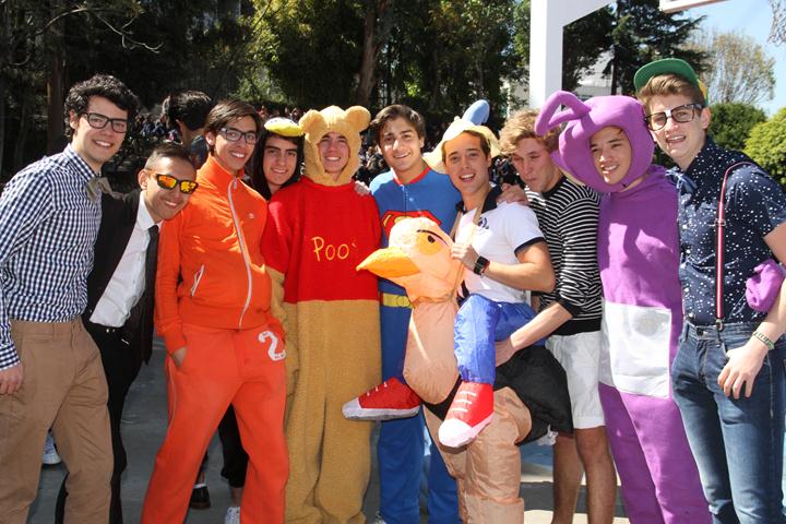 Ir a la Siguiente Foto
