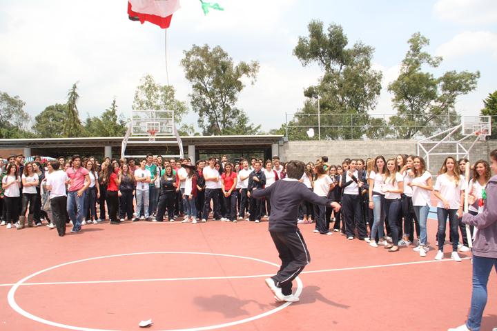 Ir a la Siguiente Foto