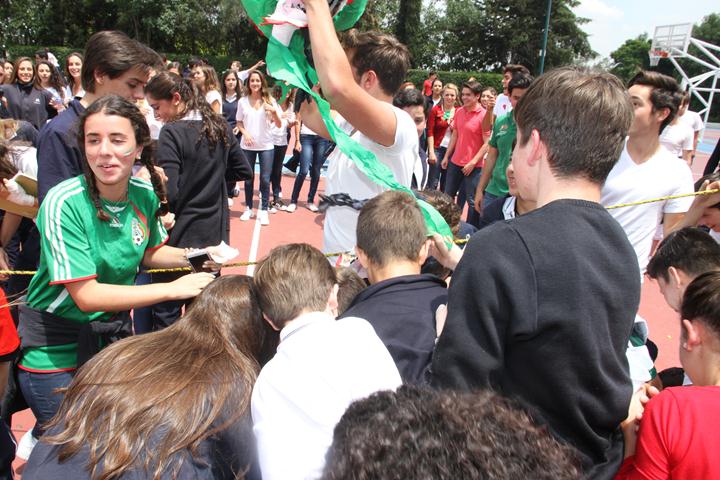 Ir a la Siguiente Foto