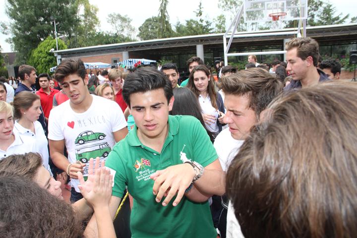 Ir a la Siguiente Foto