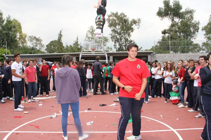 Ir a la Siguiente Foto