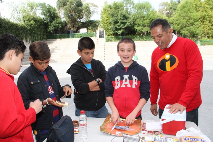 Ir a la Siguiente Foto