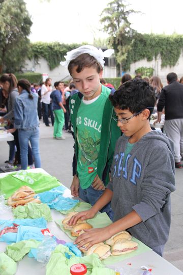 Ir a la Siguiente Foto