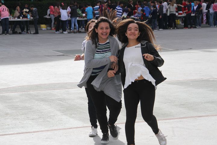 Ir a la Siguiente Foto