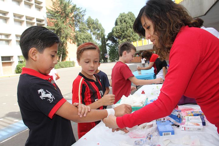 Ir a la Siguiente Foto