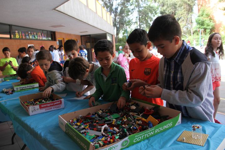 Ir a la Siguiente Foto