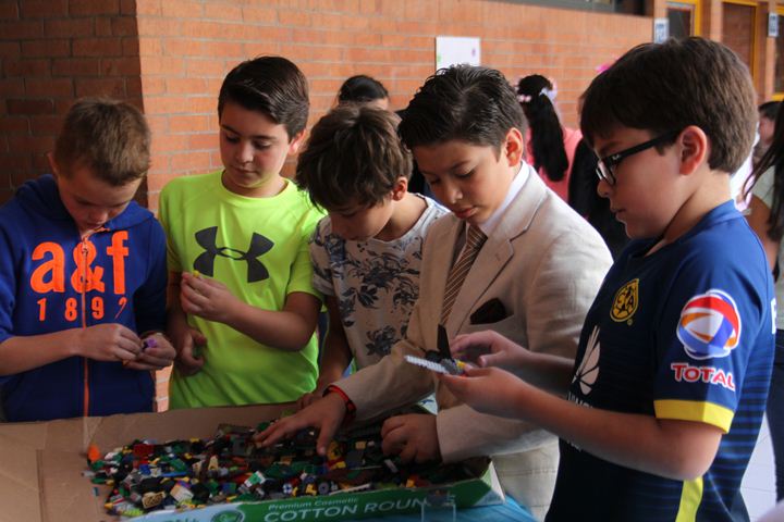 Ir a la Siguiente Foto