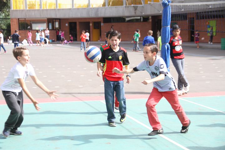 Ir a la Siguiente Foto