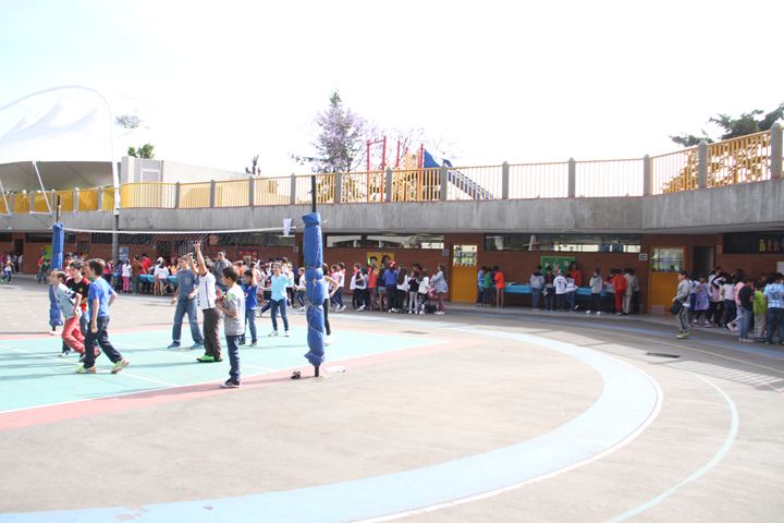 Ir a la Siguiente Foto