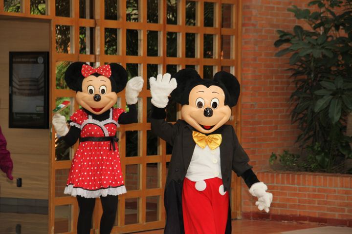 Ir a la Siguiente Foto