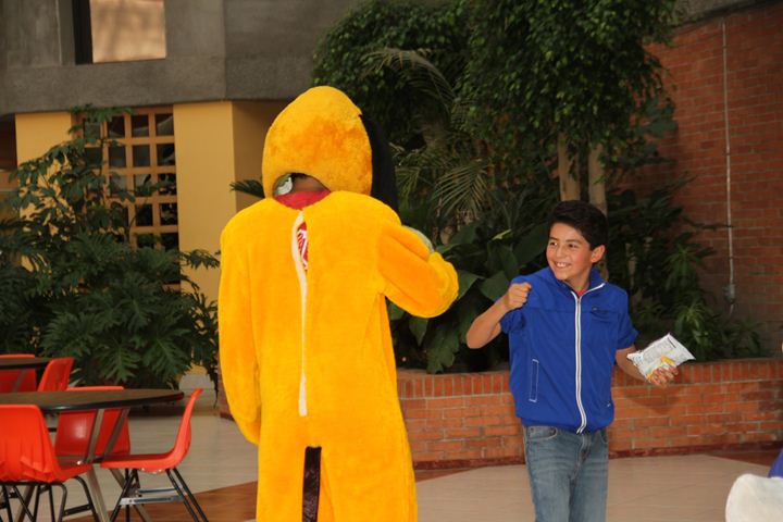 Ir a la Siguiente Foto