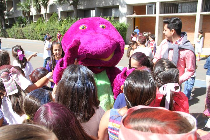 Ir a la Siguiente Foto