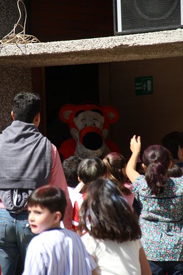 Ir a la Siguiente Foto