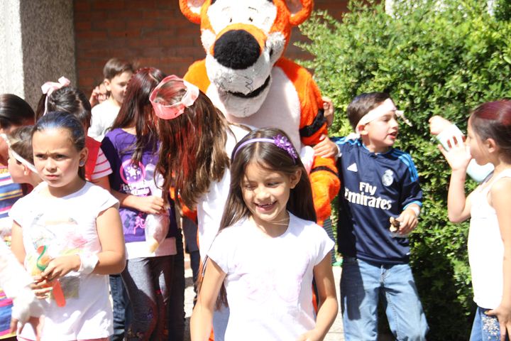 Ir a la Siguiente Foto