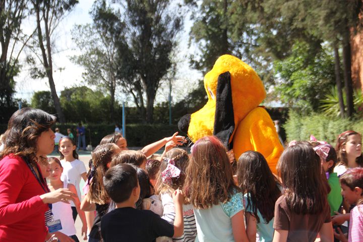 Ir a la Siguiente Foto