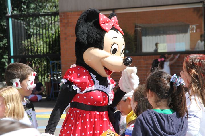 Ir a la Siguiente Foto