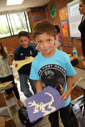 Ir a la Siguiente Foto