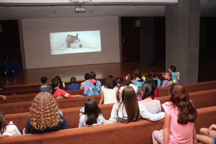 Ir a la Siguiente Foto