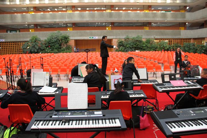 Ir a la Siguiente Foto