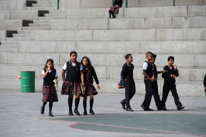 Ir a la Siguiente Foto