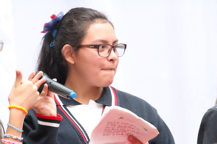 Ir a la Siguiente Foto