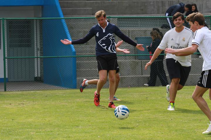 Ir a la Siguiente Foto