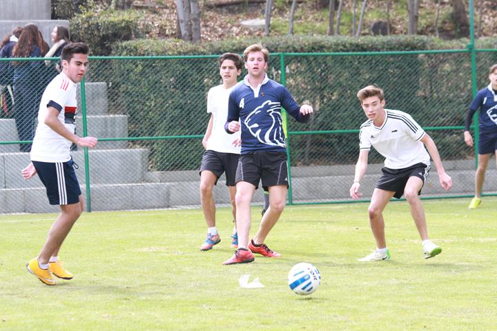 Ir a la Siguiente Foto