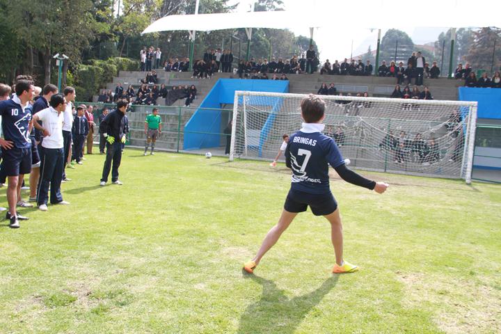 Ir a la Siguiente Foto