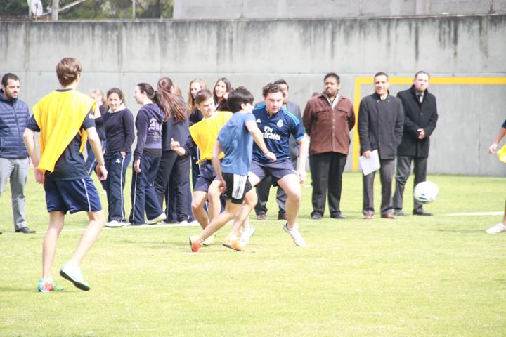 Ir a la Siguiente Foto