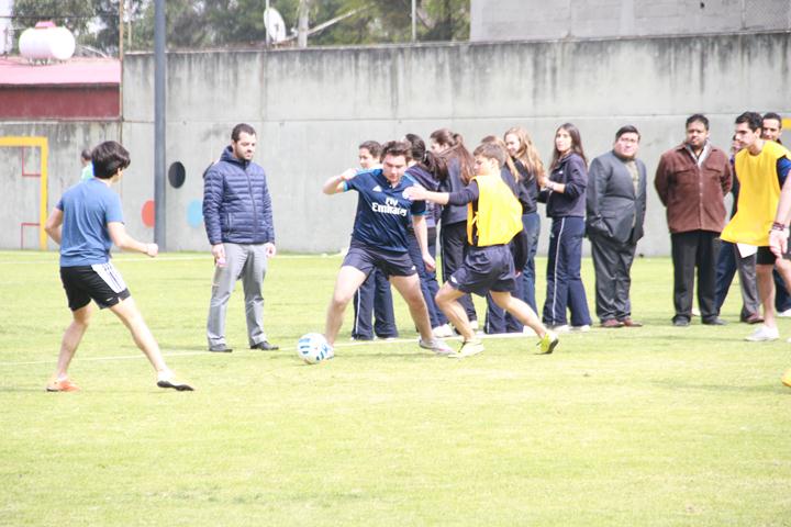 Ir a la Siguiente Foto