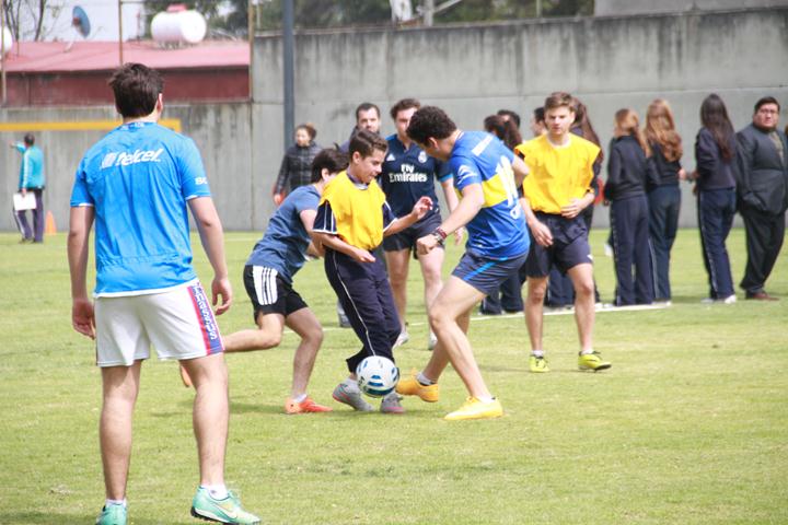 Ir a la Siguiente Foto