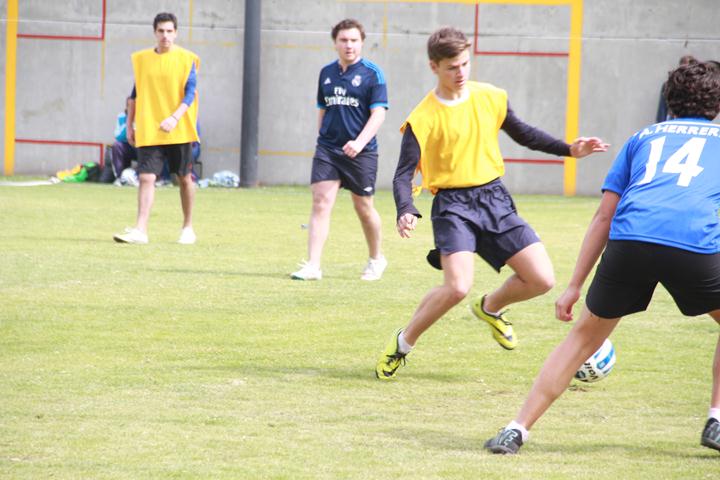 Ir a la Siguiente Foto