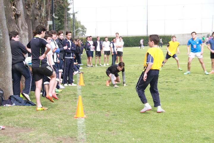 Ir a la Siguiente Foto