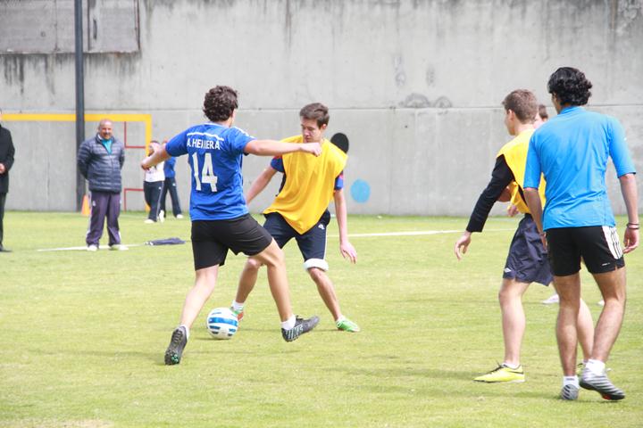 Ir a la Siguiente Foto