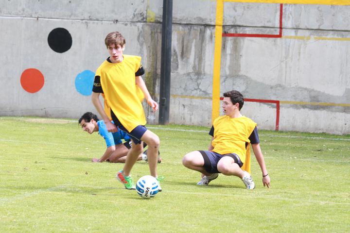 Ir a la Siguiente Foto