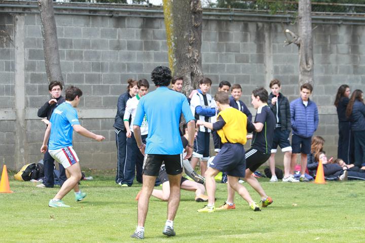 Ir a la Siguiente Foto