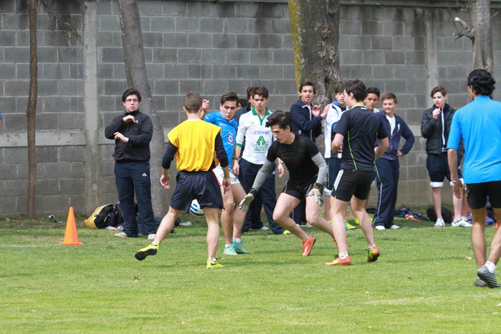 Ir a la Siguiente Foto