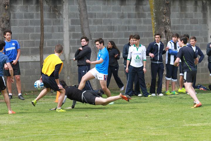 Ir a la Siguiente Foto