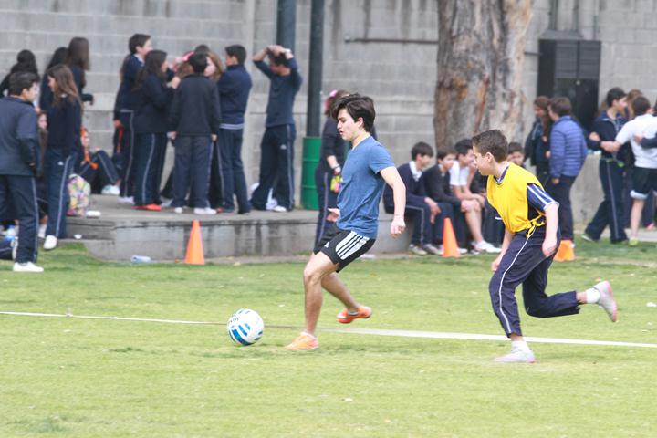 Ir a la Siguiente Foto