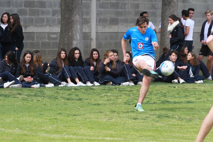 Ir a la Siguiente Foto