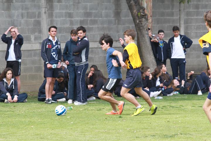 Ir a la Siguiente Foto