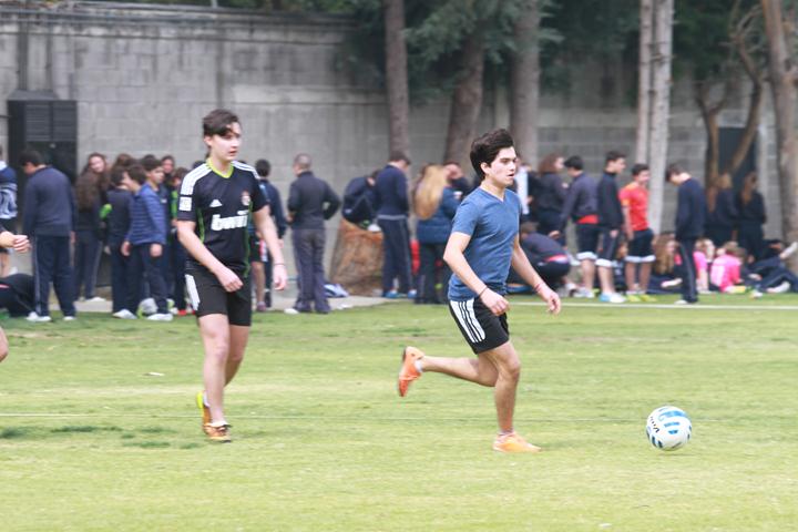 Ir a la Siguiente Foto