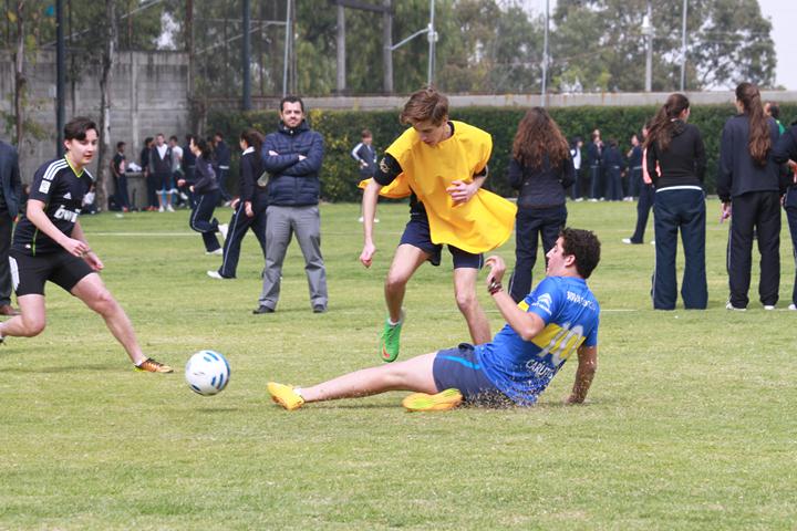 Ir a la Siguiente Foto
